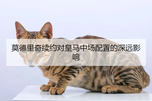 莫德里奇续约对皇马中场配置的深远影响